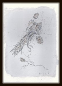 #459 silverpoint dry flowers